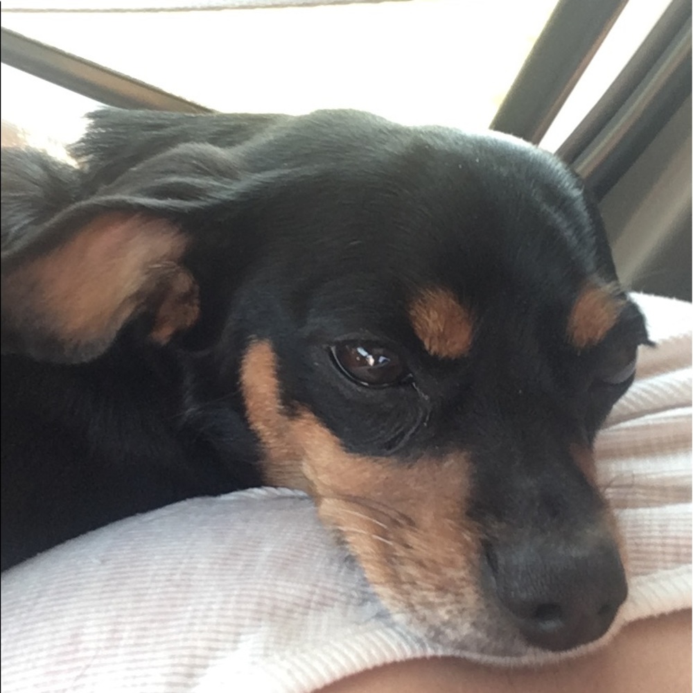 Meet your Posher, Iria